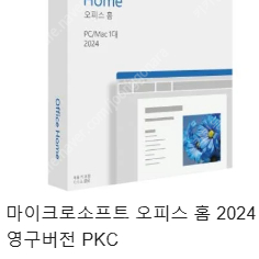 ms오피스2024 home 정품