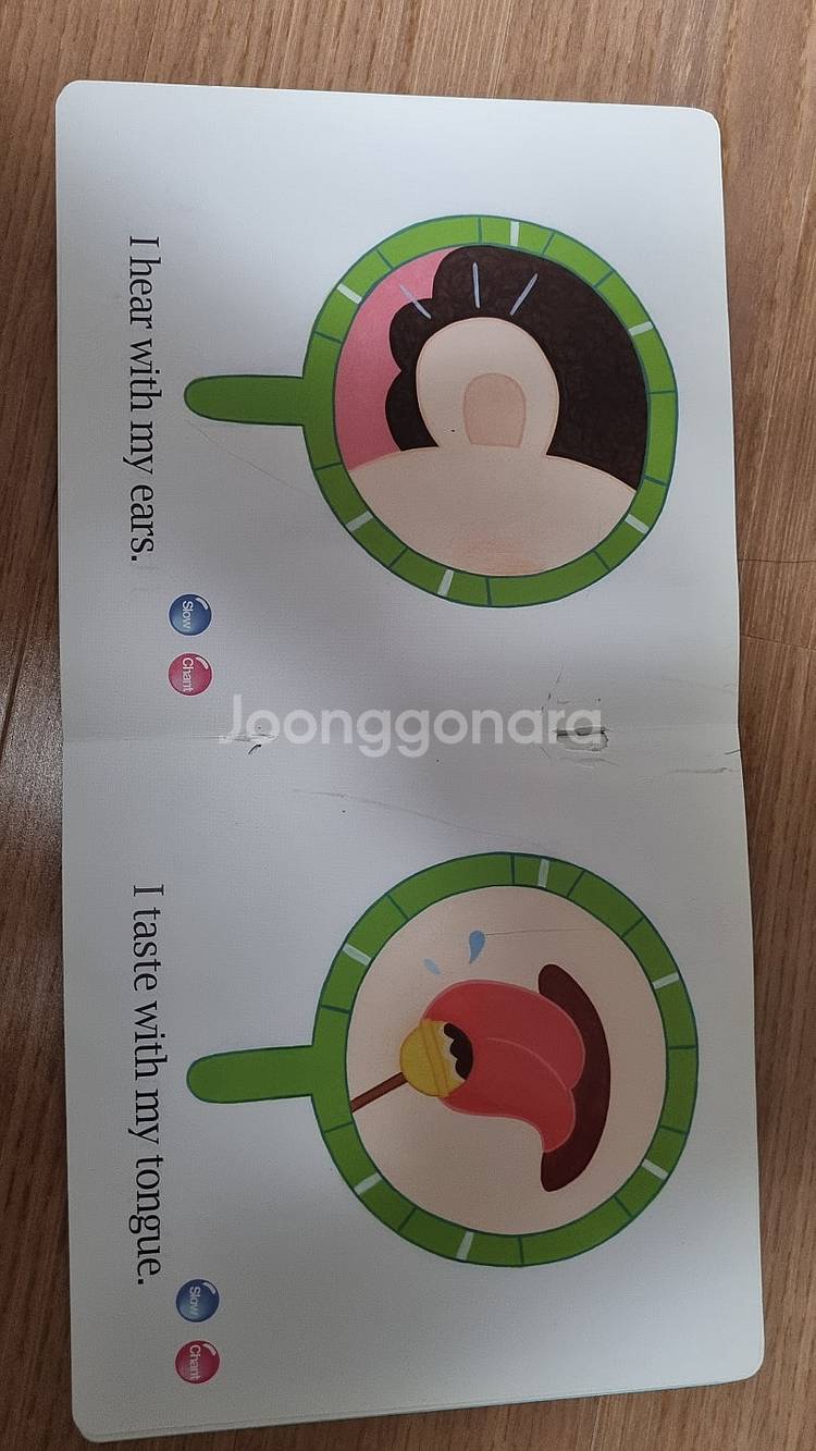 오톡영어+찰리와 롤라+세쌍둥이책--2