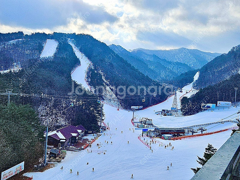 (1월 25일) 엘리시안강촌 모나용평 평창한화 무주리조...--0