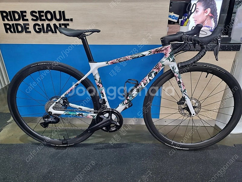 리브랑마 블랑 한정판 카본 로드사이클 울테그라 팝니다--0
