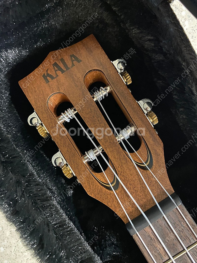 Kala 우쿨렐레 KA-ASAC-T (Tenor) 새상...--1