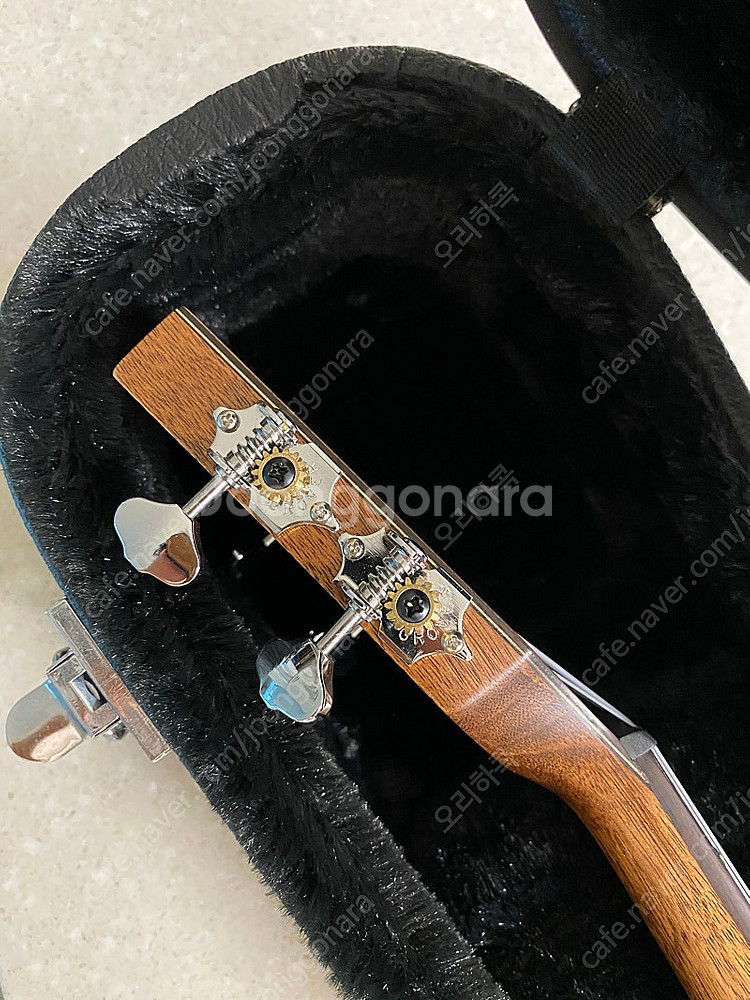 Kala 우쿨렐레 KA-ASAC-T (Tenor) 새상...--3