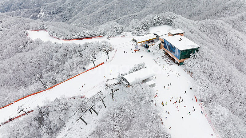 [용평스키장] 1/25~2/1일 용평호텔/용평리조트 특...--0