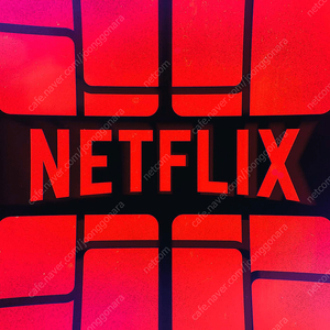 디즈니플러스 넷플릭스 유튜브프리미엄 Netflix Disney+ 파티원 구합니다