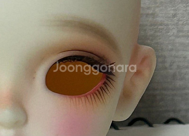 치카비 몰리 미백 헤드 판매 / 구관/ 구체관절인형--1