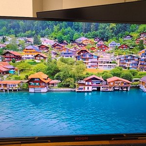 알파스캔 170hz QHD IPs 모니터