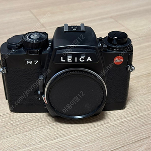 Leica 라이카 R7 바디 (블랙) 팝니다.