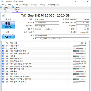 WD Blue SN570 NVMe SSD 250GB 250기가 택포22000원