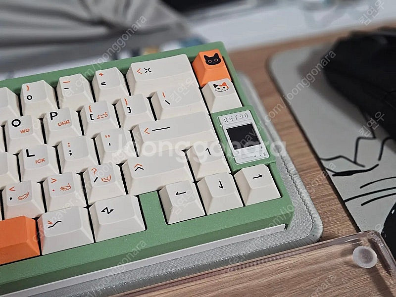 qk65v2 아보카도 화이트--0