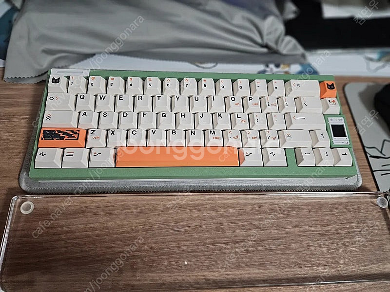 qk65v2 아보카도 화이트--1