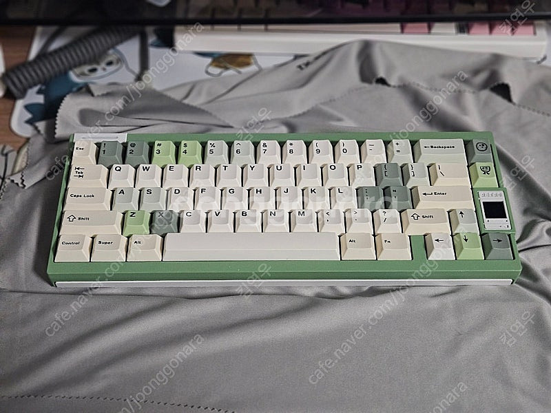 qk65v2 아보카도 화이트--2