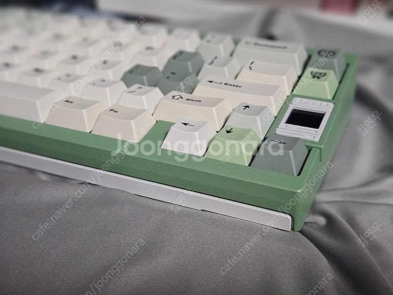 qk65v2 아보카도 화이트--3
