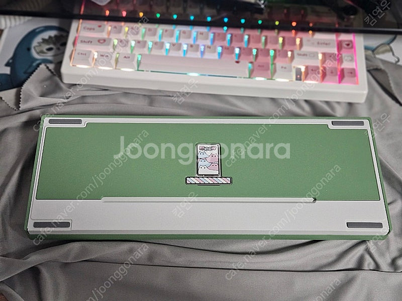 qk65v2 아보카도 화이트--4