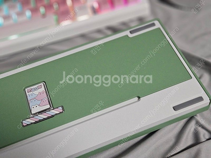 qk65v2 아보카도 화이트--6