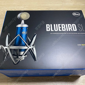 블루버드 마이크 Bluebird SL 판매 합니다