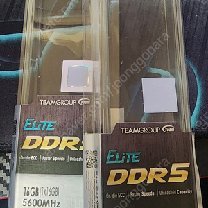 teamgroup elite ddr5 5600 16gb x 2 팔아요~