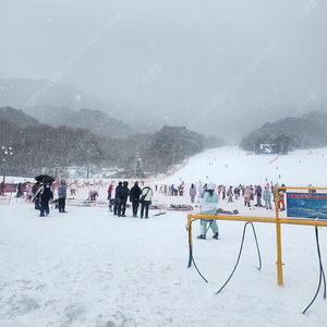 무주시즌권삽니다