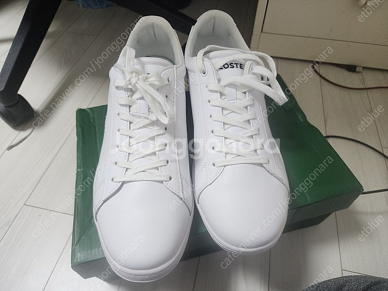 280 라코스테 카나비 에보--1