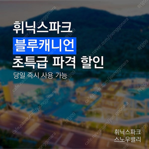 휘닉스파크 블루캐니언 워터파크 이용권팝니다.(장수많아요)