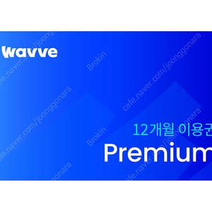 웨이브 WAVVE 프리미엄 1년 이용권