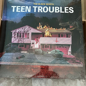 검정치마 teen troubles LP 미개봉 새상품