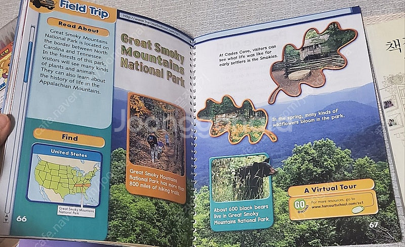 영어 원서 엄마표영어 아서,호리드헨디,엔서니브라운,단어사전 등 23권--7