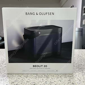 뱅앤올룹슨 블루투스 스피커 B&O Beolit20