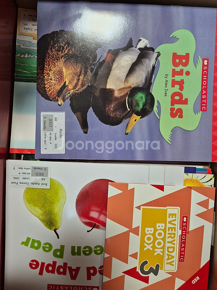 스콜라스틱 everyday book box 150권--2
