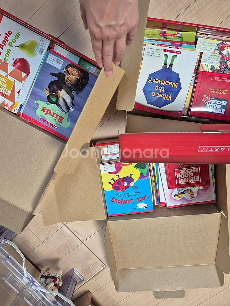 스콜라스틱 everyday book box 150권--3