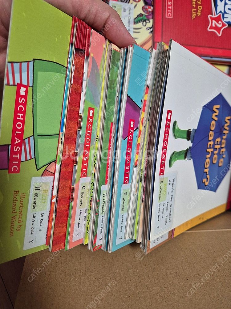 스콜라스틱 everyday book box 150권--4