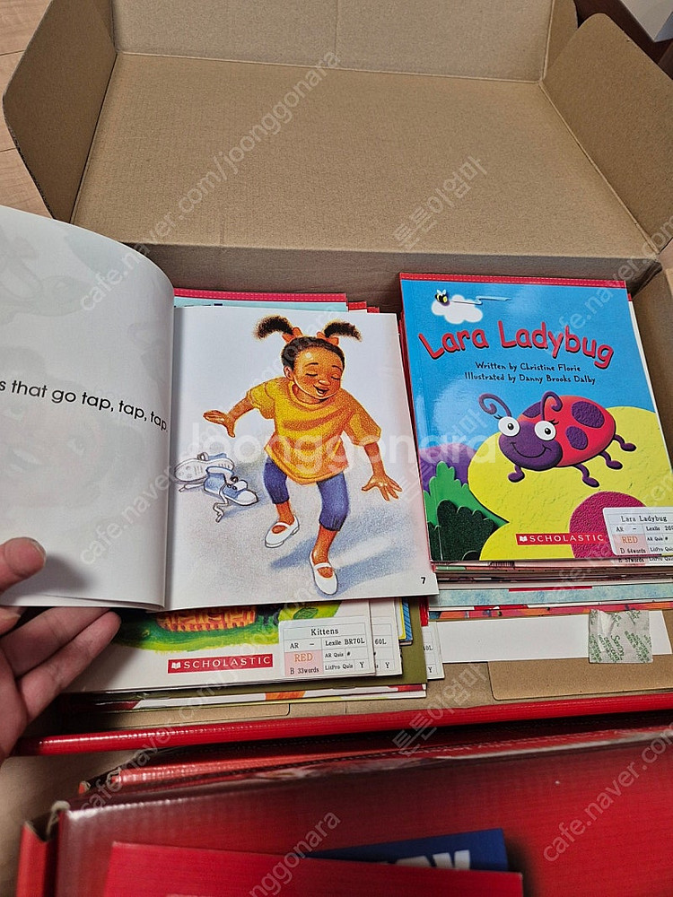 스콜라스틱 everyday book box 150권--7