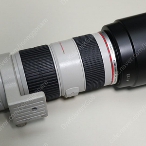 캐논 70-200 IS F4 형아백통