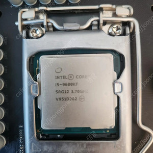 인텔 9600kf cpu