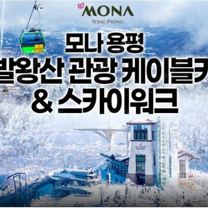 용평 발왕산케이블카/피크아일랜/딥다이브~비발디파크 스노위랜드~설악워터피아