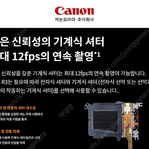 캐논 EOS R3 + 추가 정품배터리1개 / 샌디스크 cfe type b 256 + 샌디스크 cfe 리더기