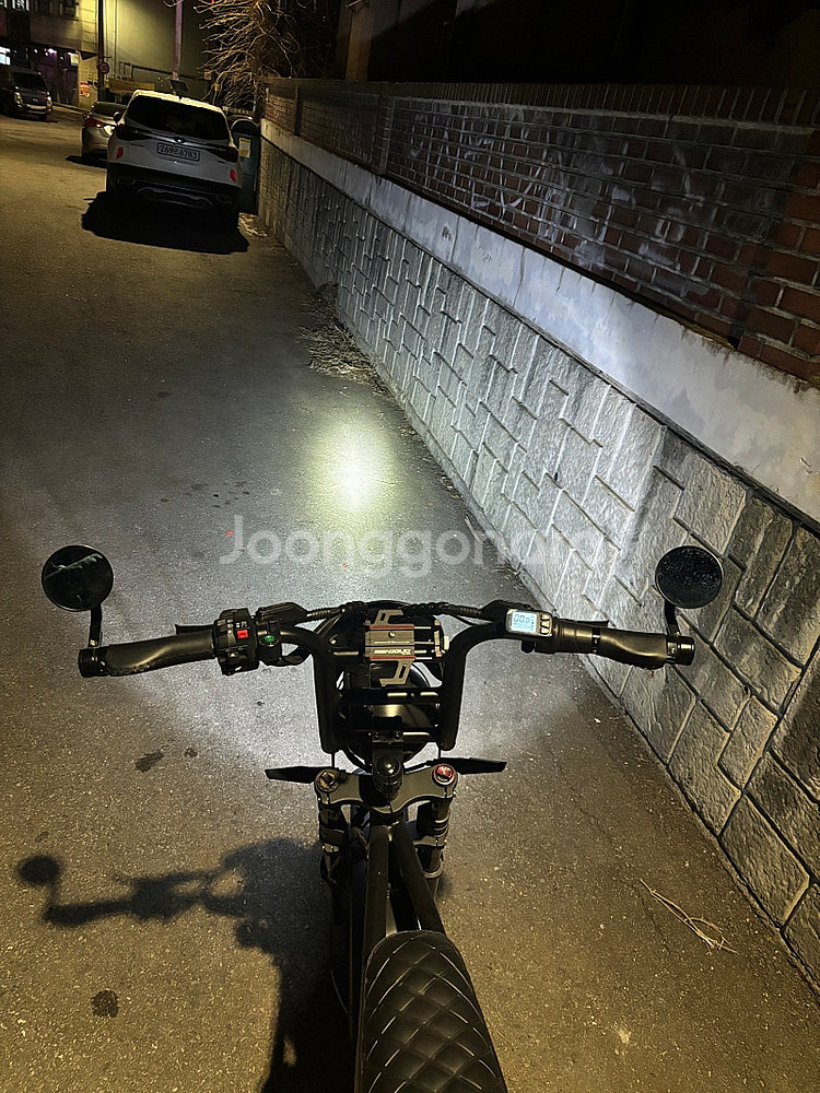 전기자전거 엑스라이더x100 (1000w) 팝니다.--3