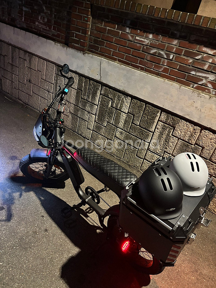 전기자전거 엑스라이더x100 (1000w) 팝니다.--4
