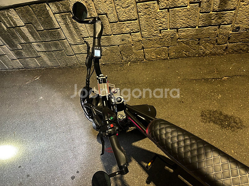 전기자전거 엑스라이더x100 (1000w) 팝니다.--7