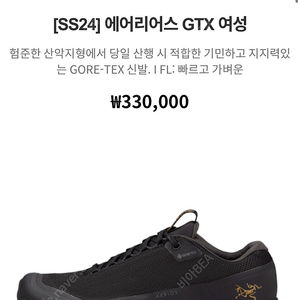 아크테릭스 에어리어스 여성 gtx