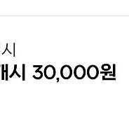 넥슨캐시 30000원
