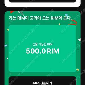 아난티 림 rim 500림 판매