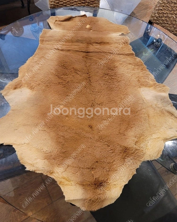 가죽공예, 러그,인테리어소품, 캥거루가죽, 캥거루털, ...--0