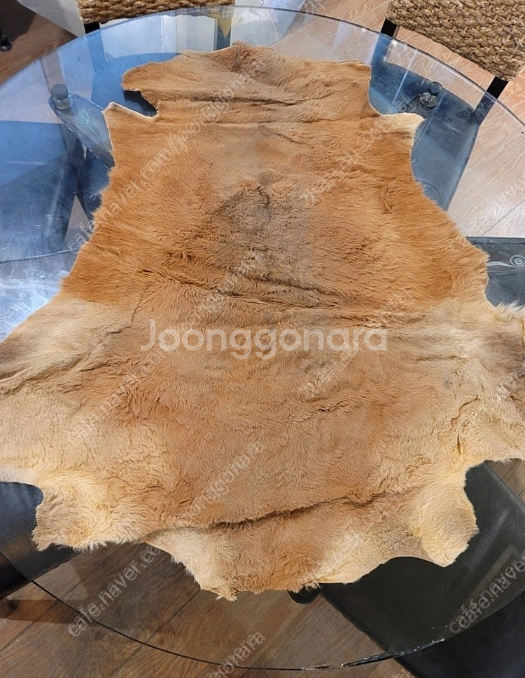 가죽공예, 러그,인테리어소품, 캥거루가죽, 캥거루털, ...--1