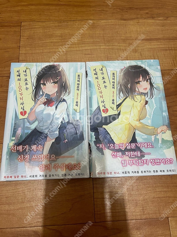 여러가지 초판 미개봉 라노벨 라이트노벨 판매--3