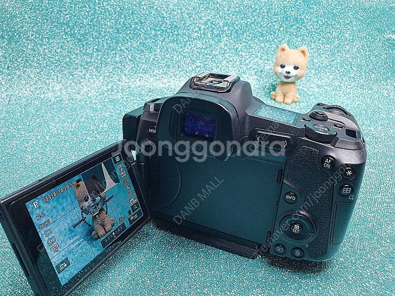 캐논 Canon EOS R 미러리스 카메라 바디--4