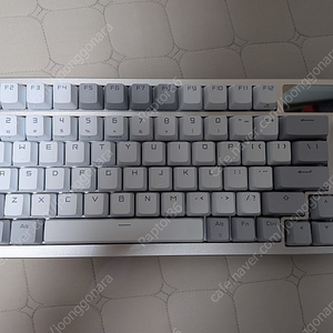 ASUS ROG AZOTH NX MoonLight White PBT (영문 SNOW 적축) 판매