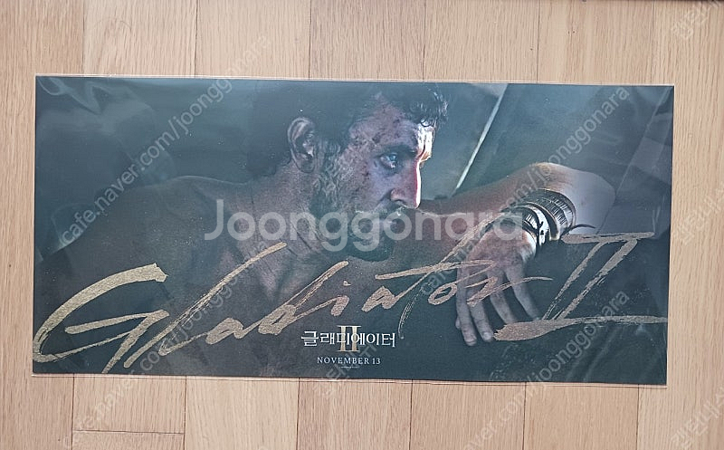 최신 개봉영화 포스터 무파사 서브스턴스 히든페이스 레몬...--3