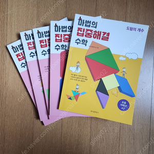 마법의 집중해결수학 B 중학년