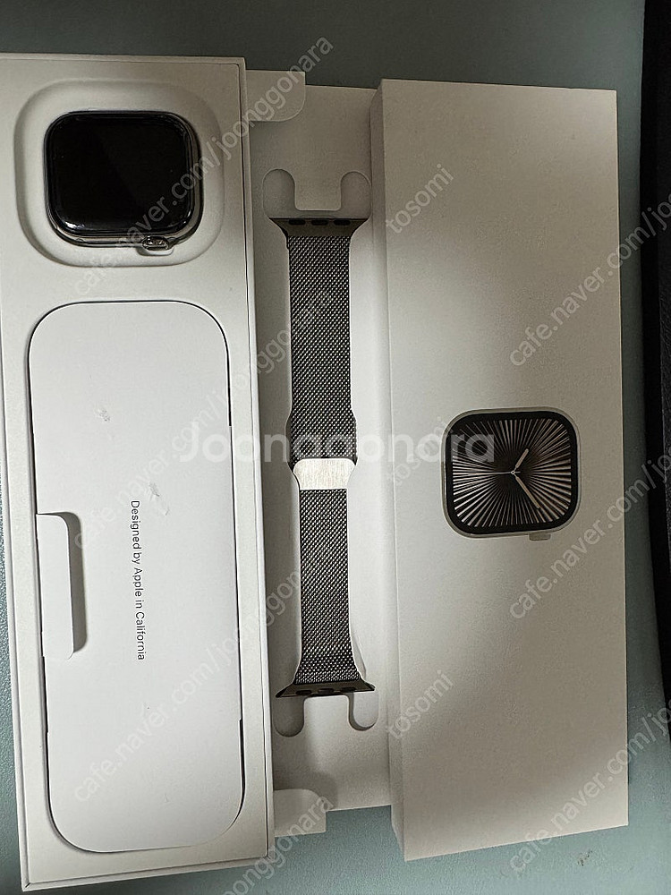애플워치10 42mm 내츄얼티타늄 셀룰러 밀레니즈루프 ...--0
