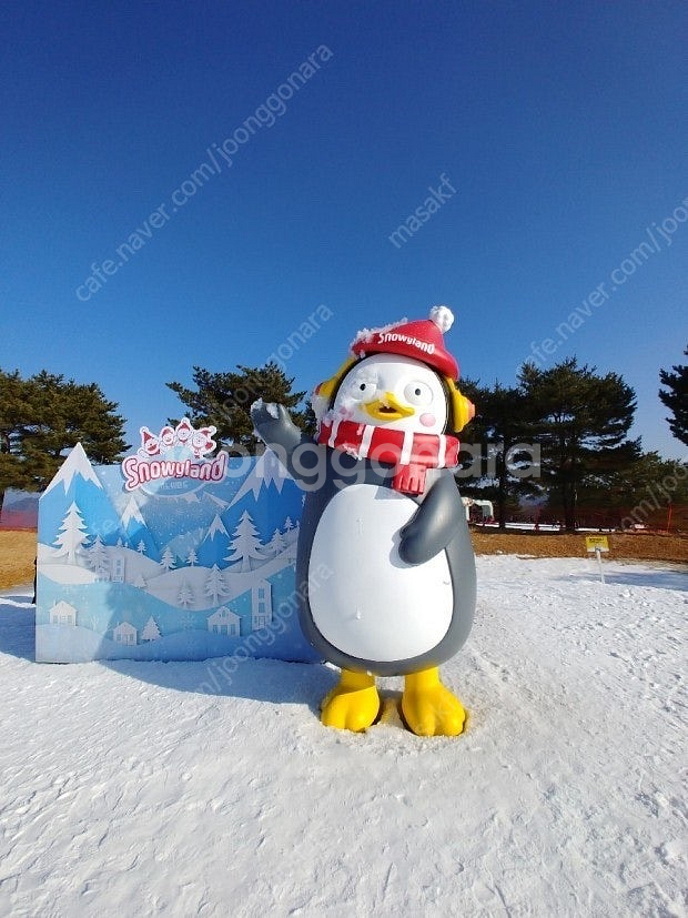 스노위랜드 1/19일 대인+소인 티켓팔아요--1